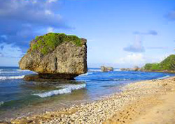 Bathsheba Barbados